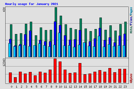 Hourly usage for January 2021